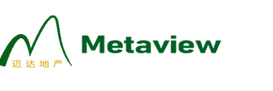 MetaView